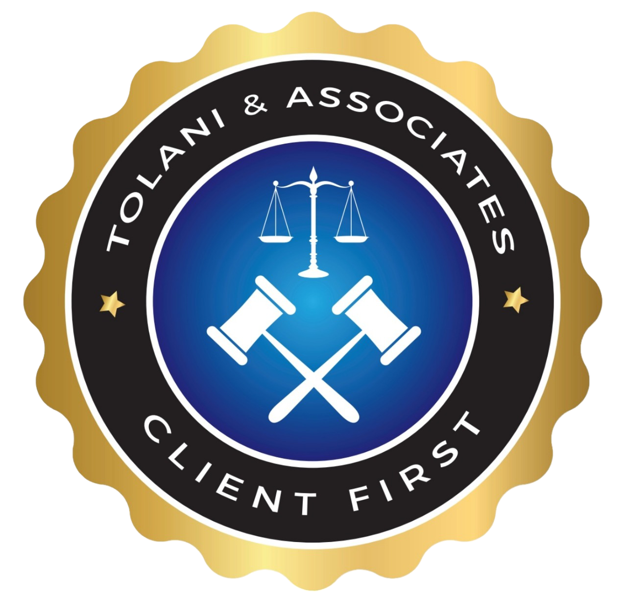 logo tolsni & associates